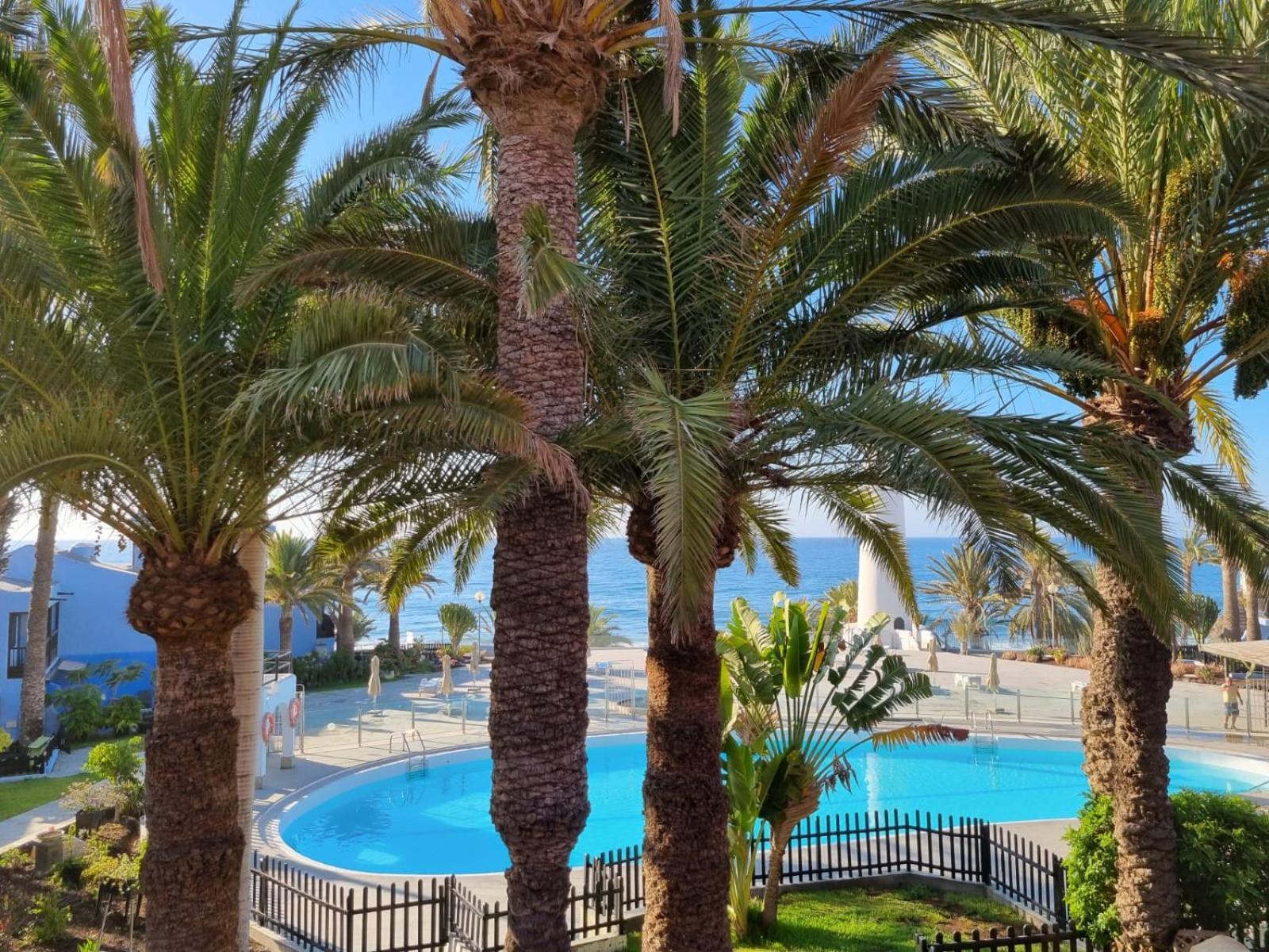 Top 2 Sun Club Bungalow Terraza Maspalomas  Exterior photo